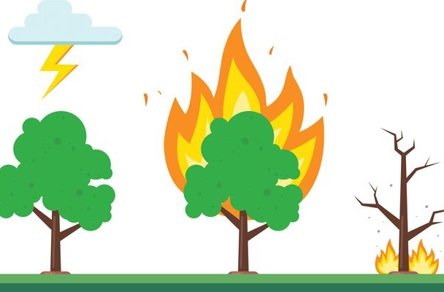 simple cartoon drawing displaying how lightning causes wildfires