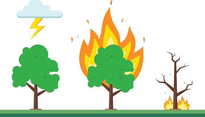 simple cartoon drawing displaying how lightning causes wildfires